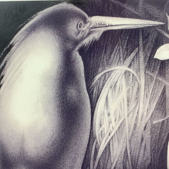 Wayman C Brown Pencil Sketch White Heron ‘Pecking Order’ 19x22 Signed & Matted - Picture 13 of 13